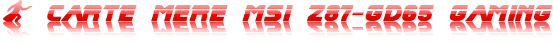 Carte Mre MSI Z87-GD65 Gaming