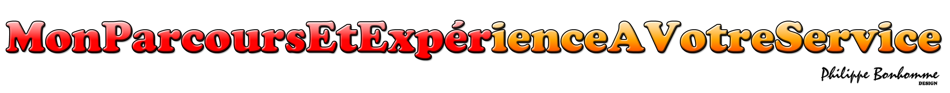 MonParcoursEtExprienceAVotreService